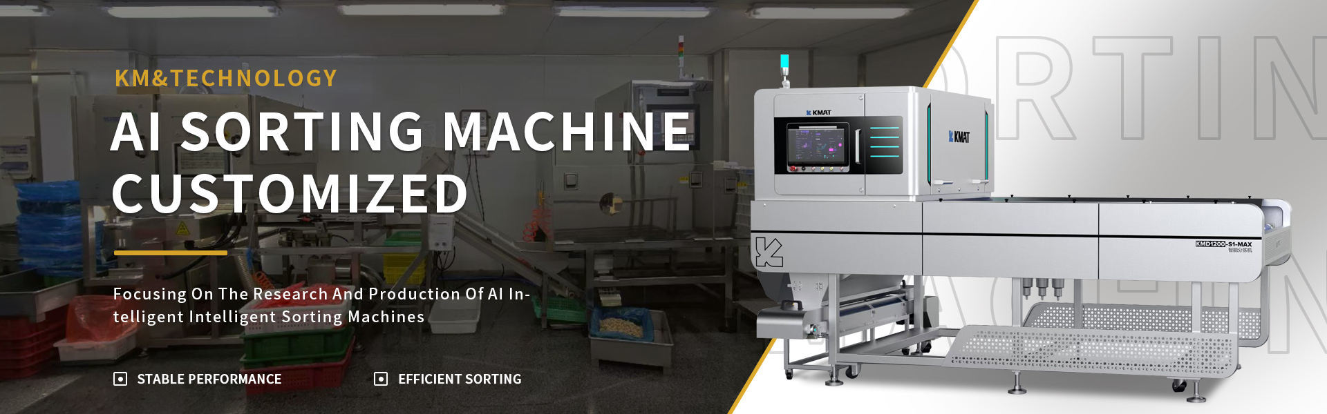 Quality Color Sorter factory